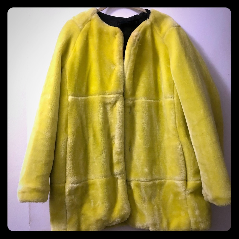 ZARA Fur Coat